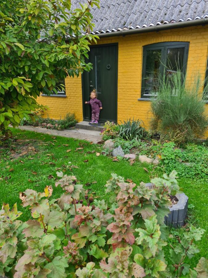Inspiration Center Denmark, Bed & Breakfast Maribo Exterior foto